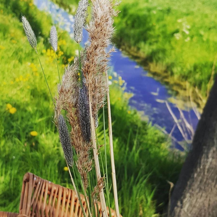 Frühstückspension Ontbijt Bij De Boerenmeid Hoogwoud